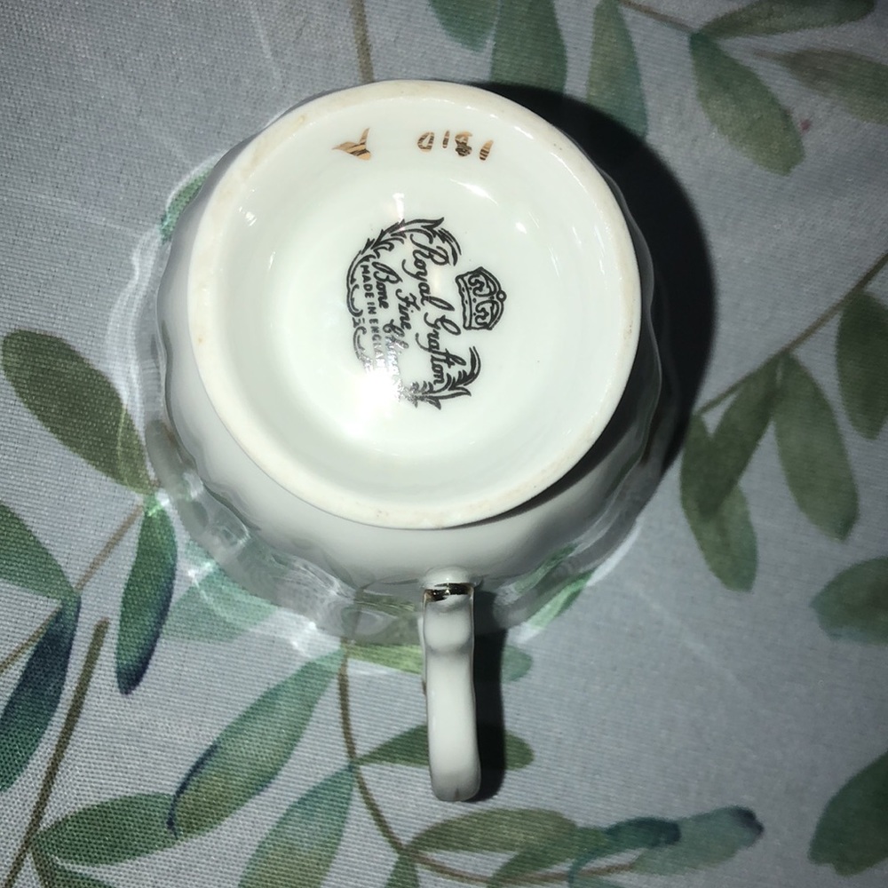 Royal Grafton Mother tea cup and Saucer English Bone China Vintage - Picture 5 of 8